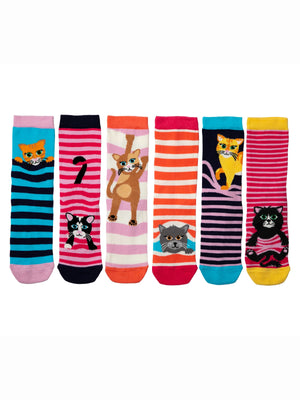 UNITED ODD FELINE GOOD! 6 SOCK PACK