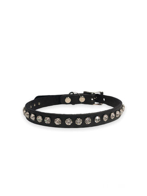 FUNK PLUS BLACK WITH RHINESTONES CK247